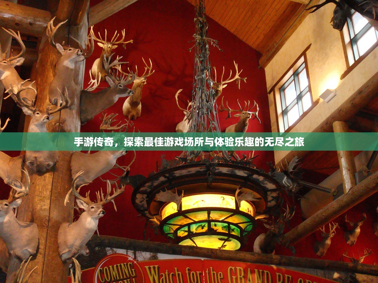 手游酷玩坚果爸爸遭遇的尴尬瞬间