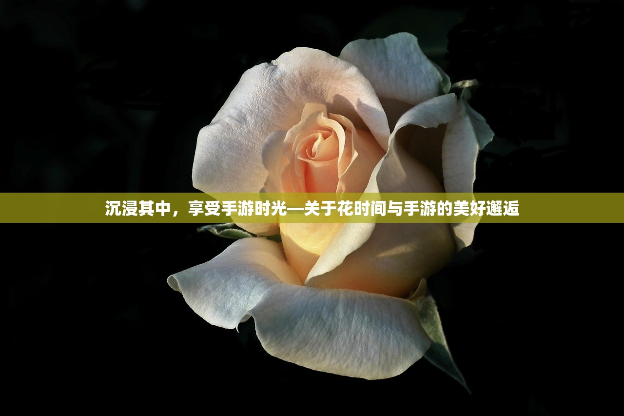 骁龙821在CF手游中的卓越表现