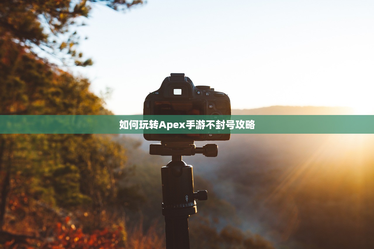 如何玩转Apex手游不封号攻略