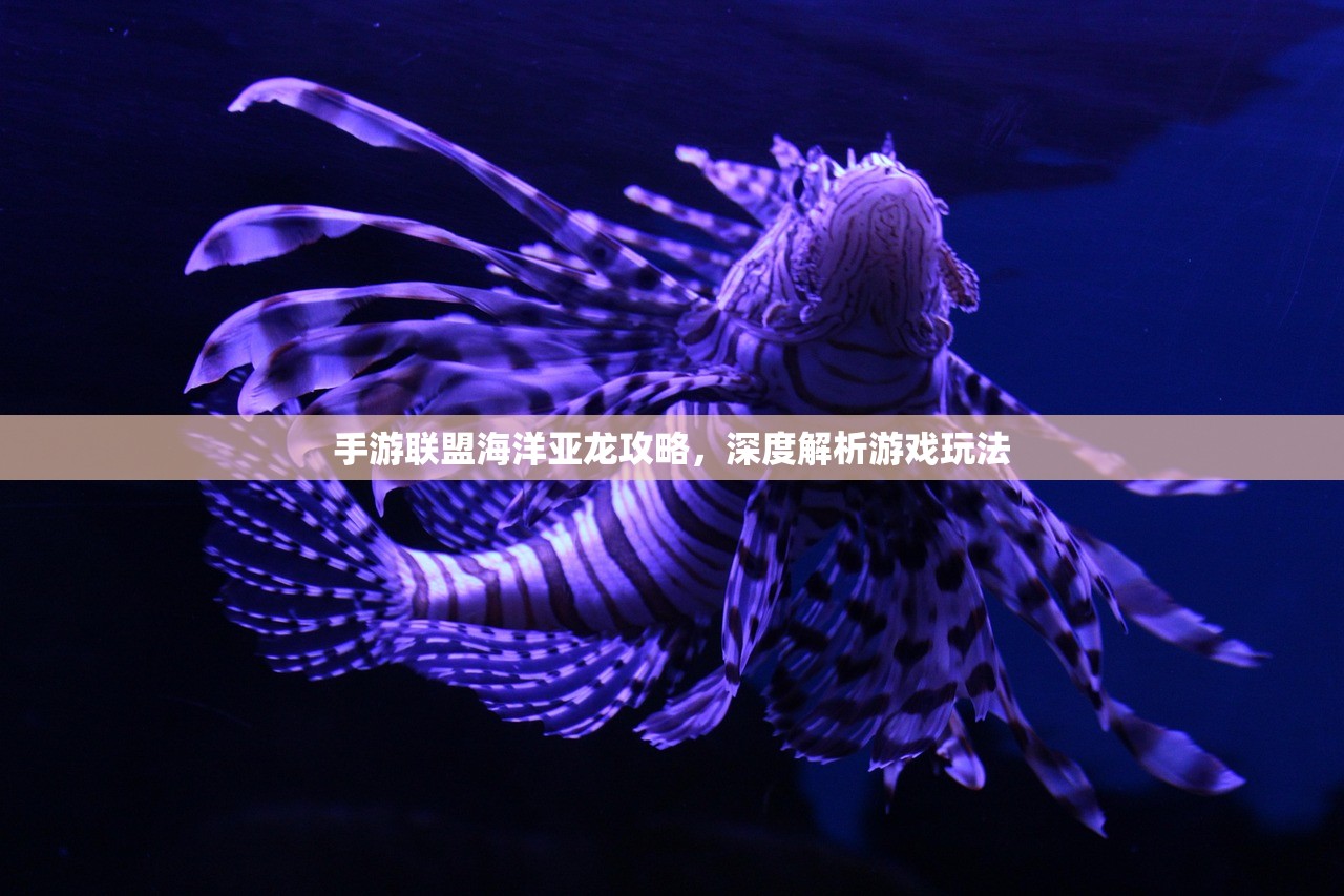 手游联盟海洋亚龙攻略，深度解析游戏玩法