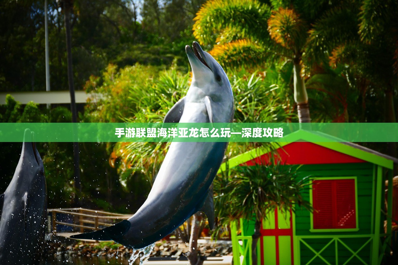 手游联盟海洋亚龙怎么玩—深度攻略