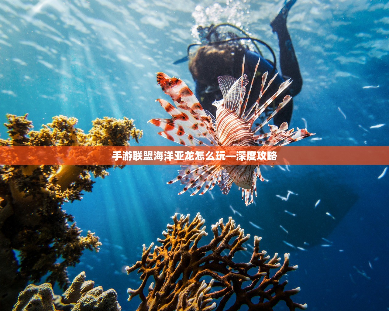 手游联盟海洋亚龙怎么玩—深度攻略
