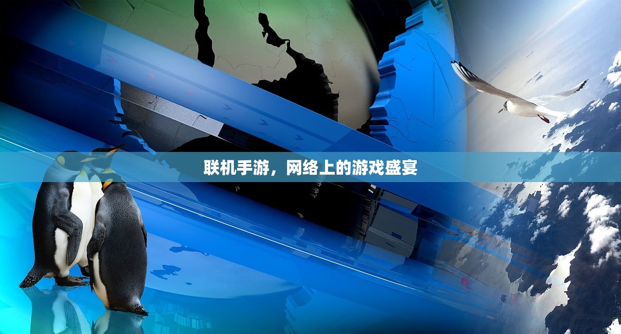 玩转美服手游端游版，攻略与体验分享