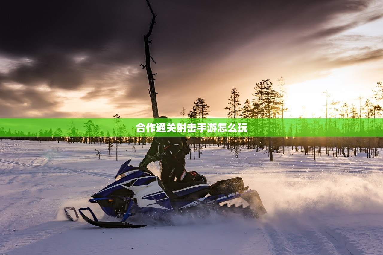 如何在内存少的情况下玩转联机生存手游