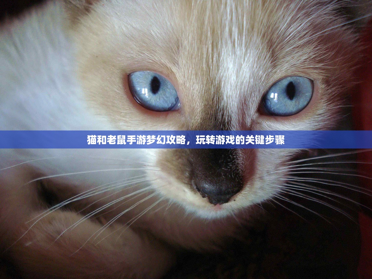 末世启示手游攻略，游戏玩法详解