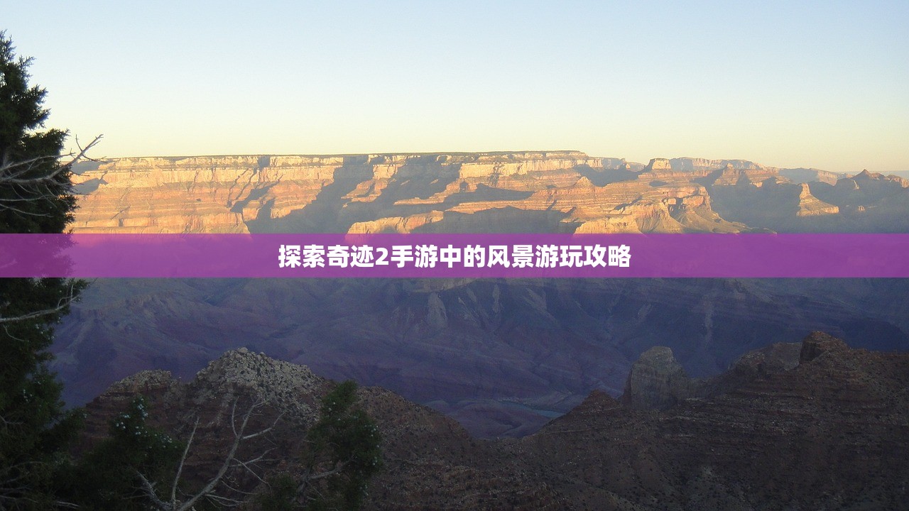 农场保卫战手游攻略，玩转每一关