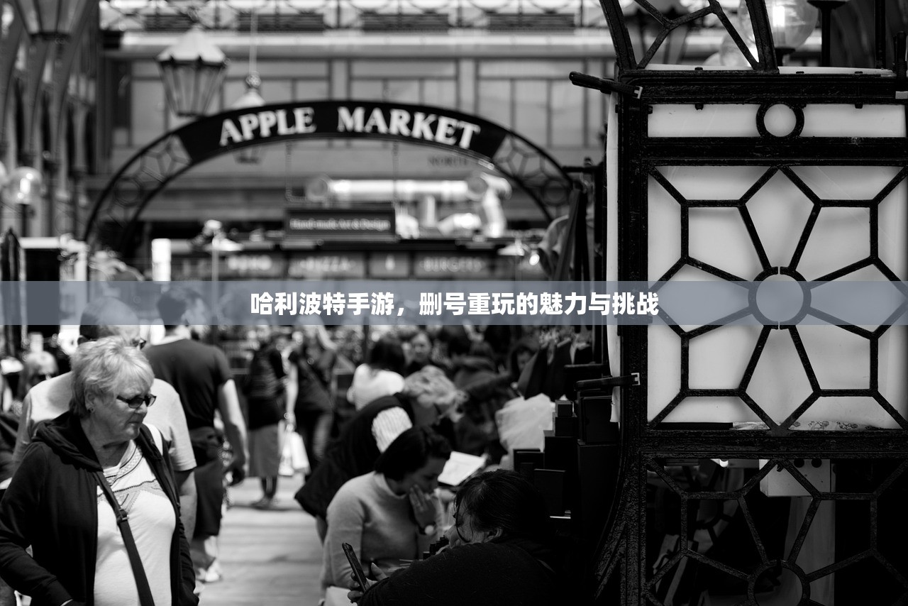 哈利波特手游，删号重玩的魅力与挑战