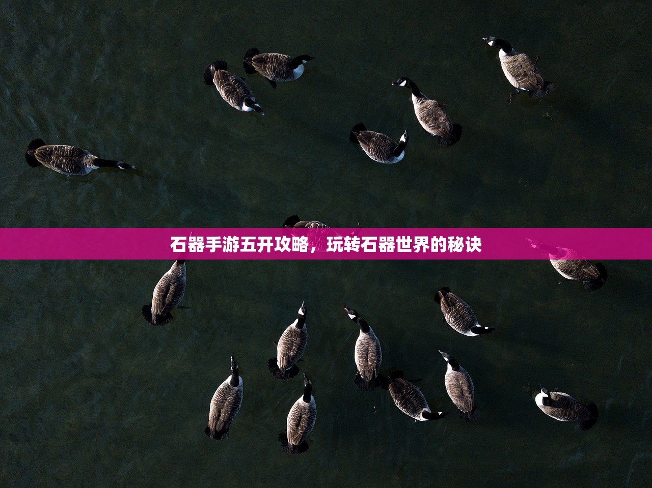 石器手游五开攻略，玩转石器世界的秘诀
