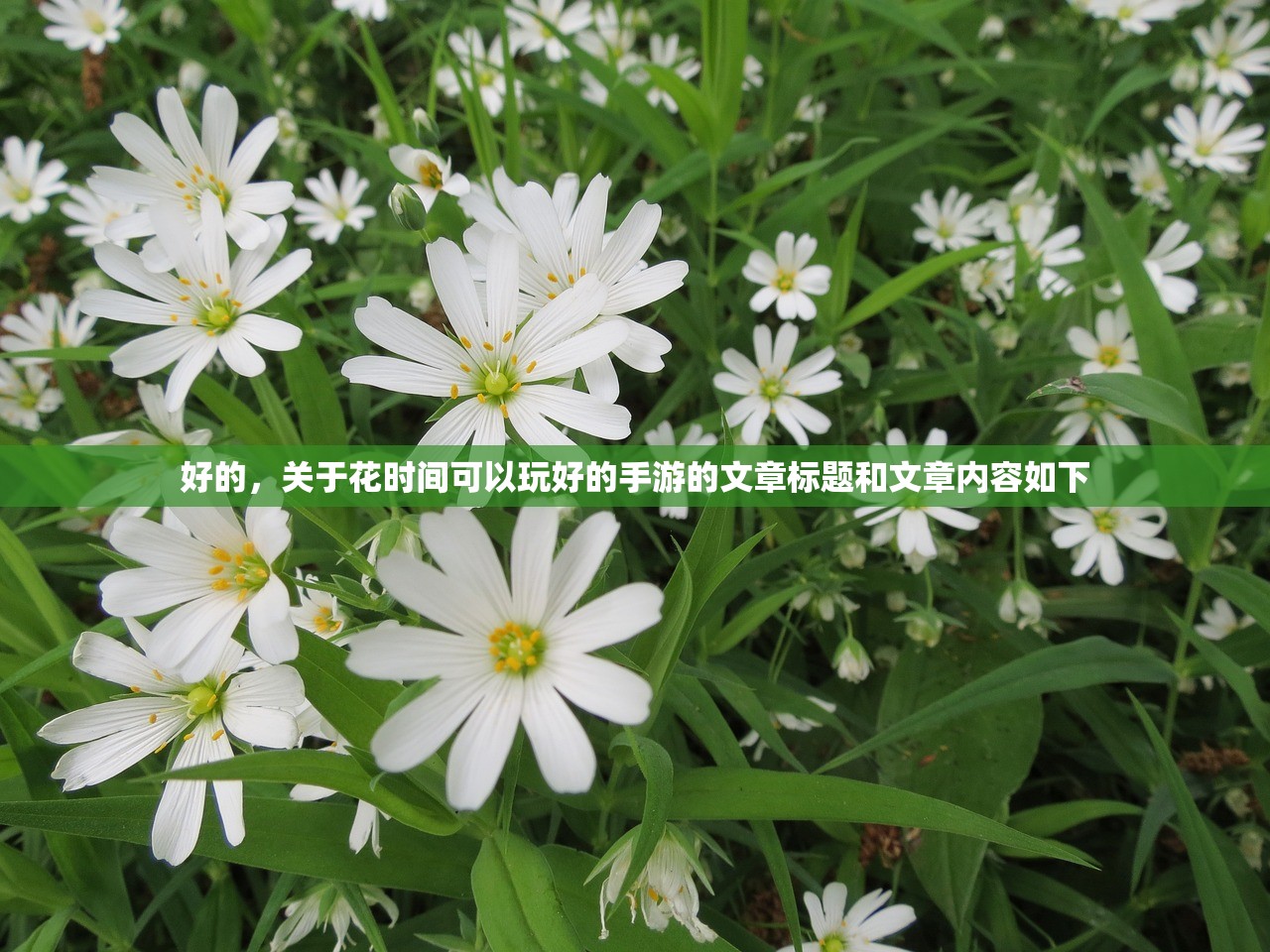 好的，关于花时间可以玩好的手游的文章标题和文章内容如下