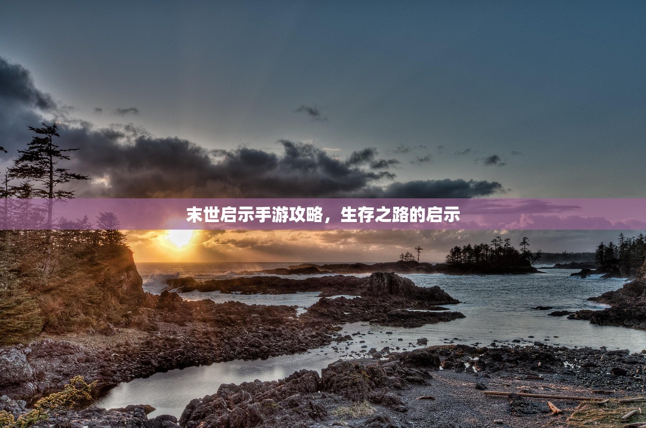 骁龙821在CF手游中的卓越表现