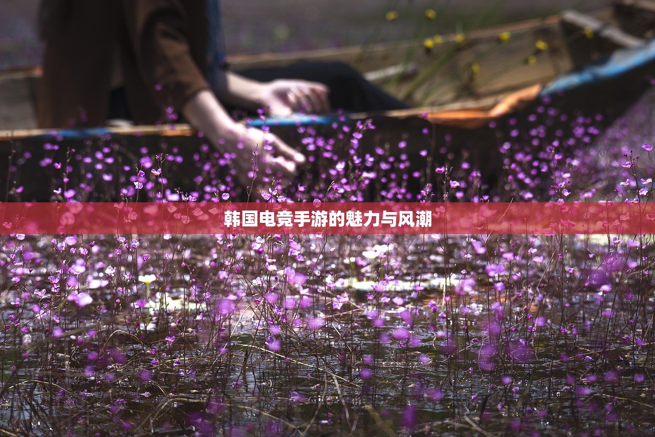 韩国电竞手游的魅力与风潮