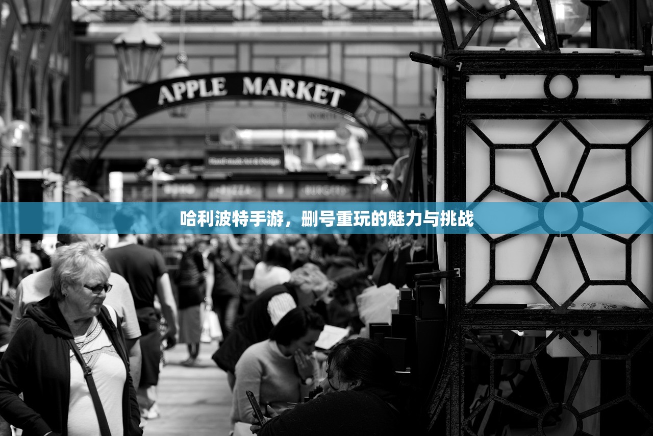 哈利波特手游，删号重玩的魅力与挑战