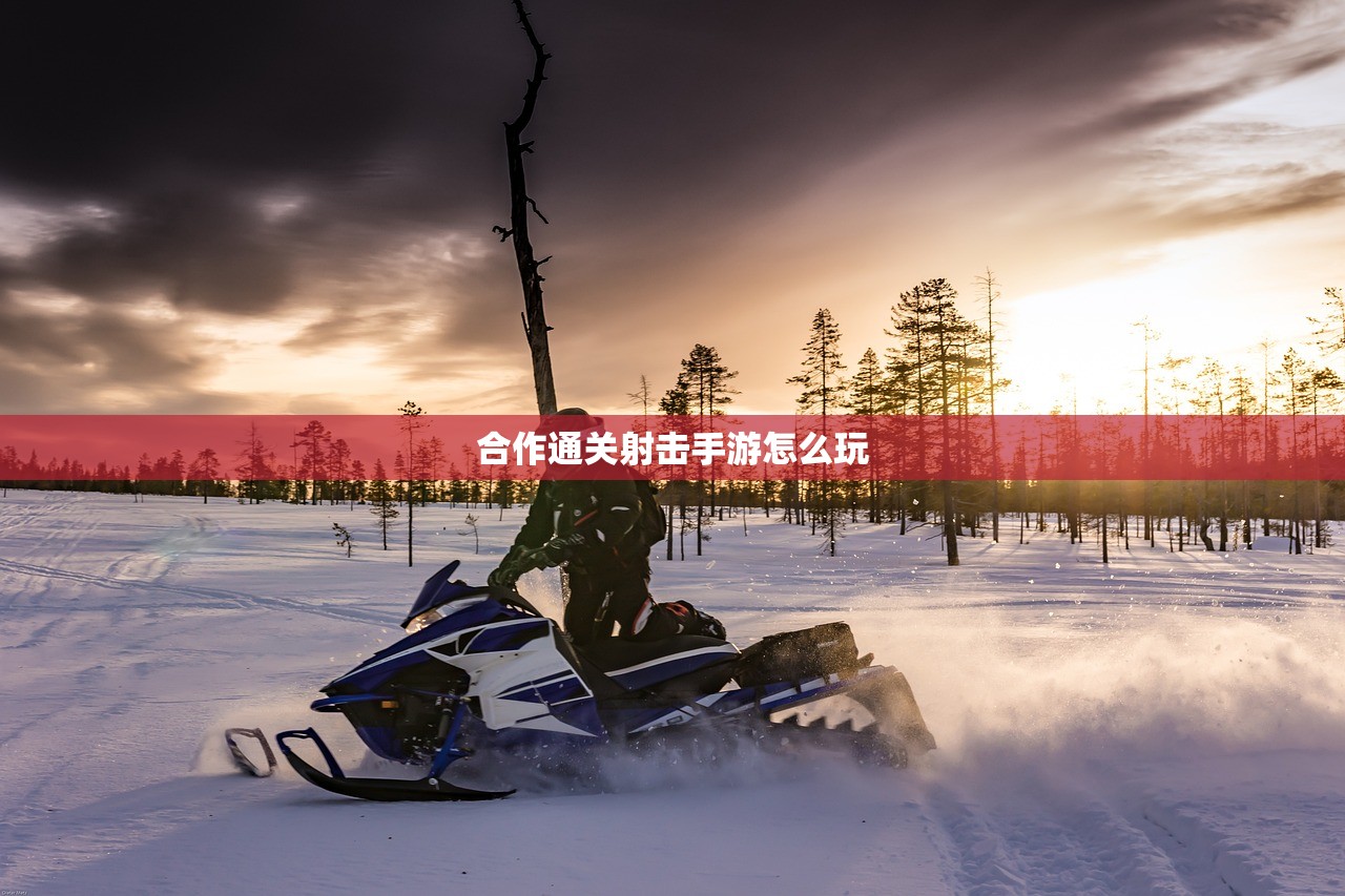 间谍老鼠手游怎么玩？攻略详解与游戏体验分享