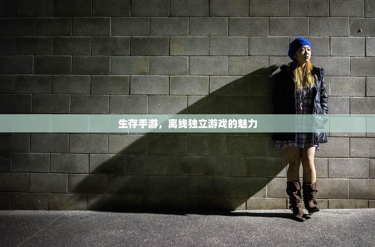 生存手游，离线独立游戏的魅力