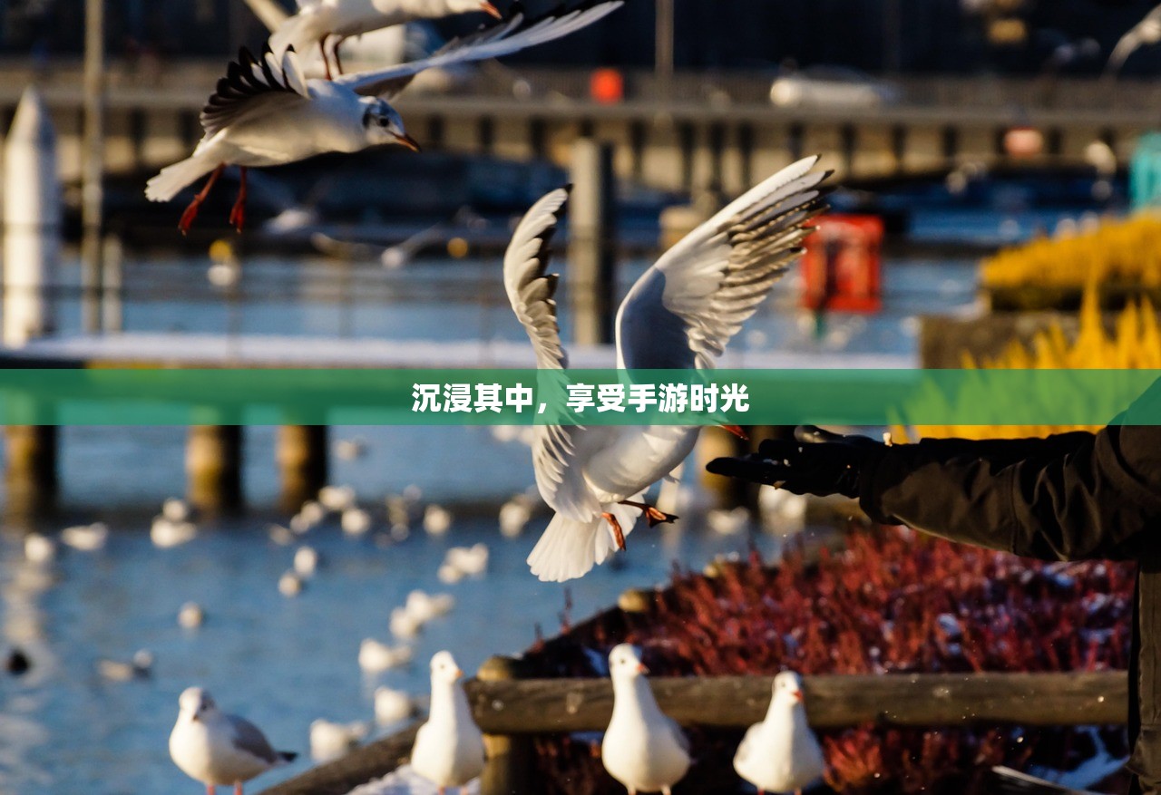新手玩LOL手游推荐英雄指南