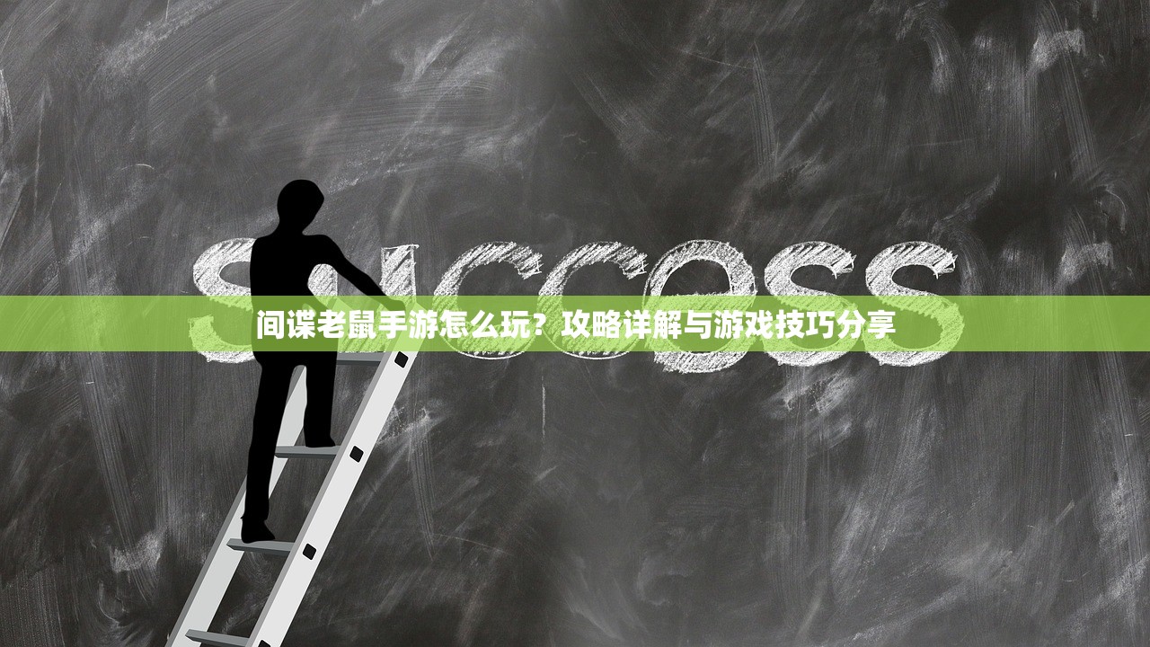 玩转美服手游端游版，深度攻略与实用技巧
