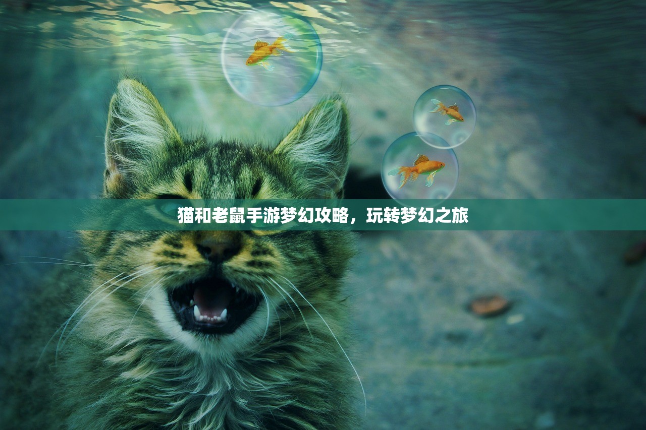 适合新手玩的棋牌手游推荐
