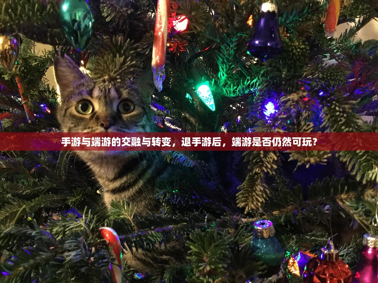单手玩转韩信，英雄联盟手游的极致挑战