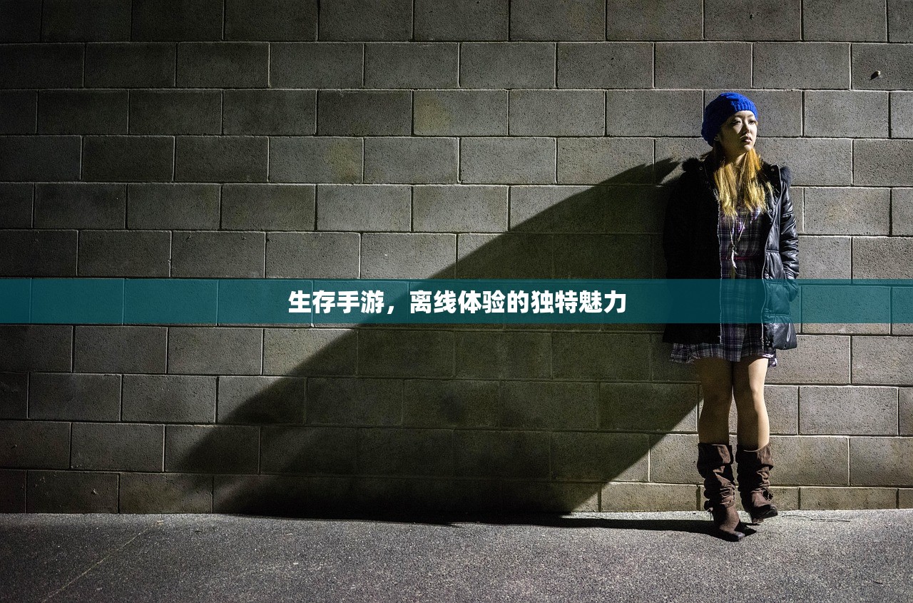 如何在内存少的情况下玩转联机生存手游