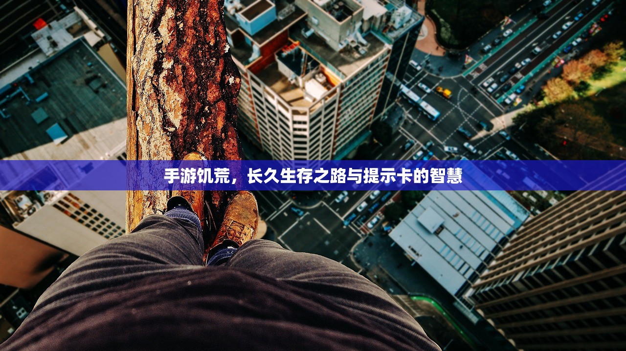 手游饥荒，长久生存之路与提示卡的智慧