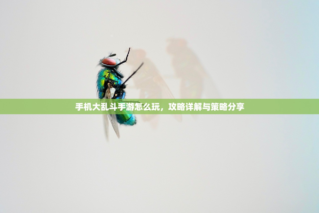 手机大乱斗手游怎么玩，攻略详解与策略分享