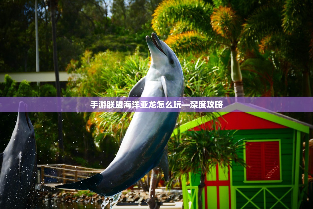 手游联盟海洋亚龙怎么玩—深度攻略