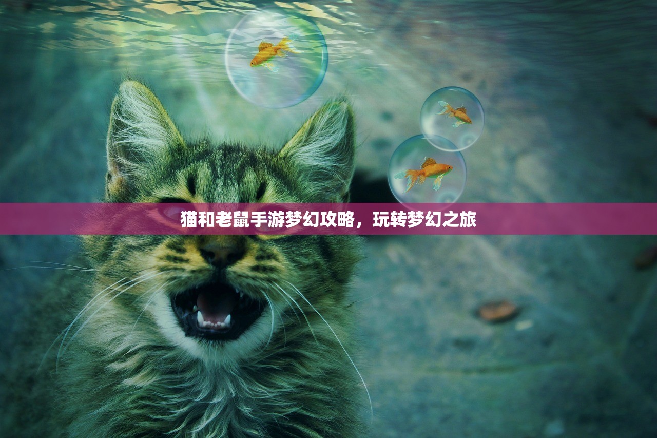 猫和老鼠手游梦幻攻略，玩转梦幻之旅