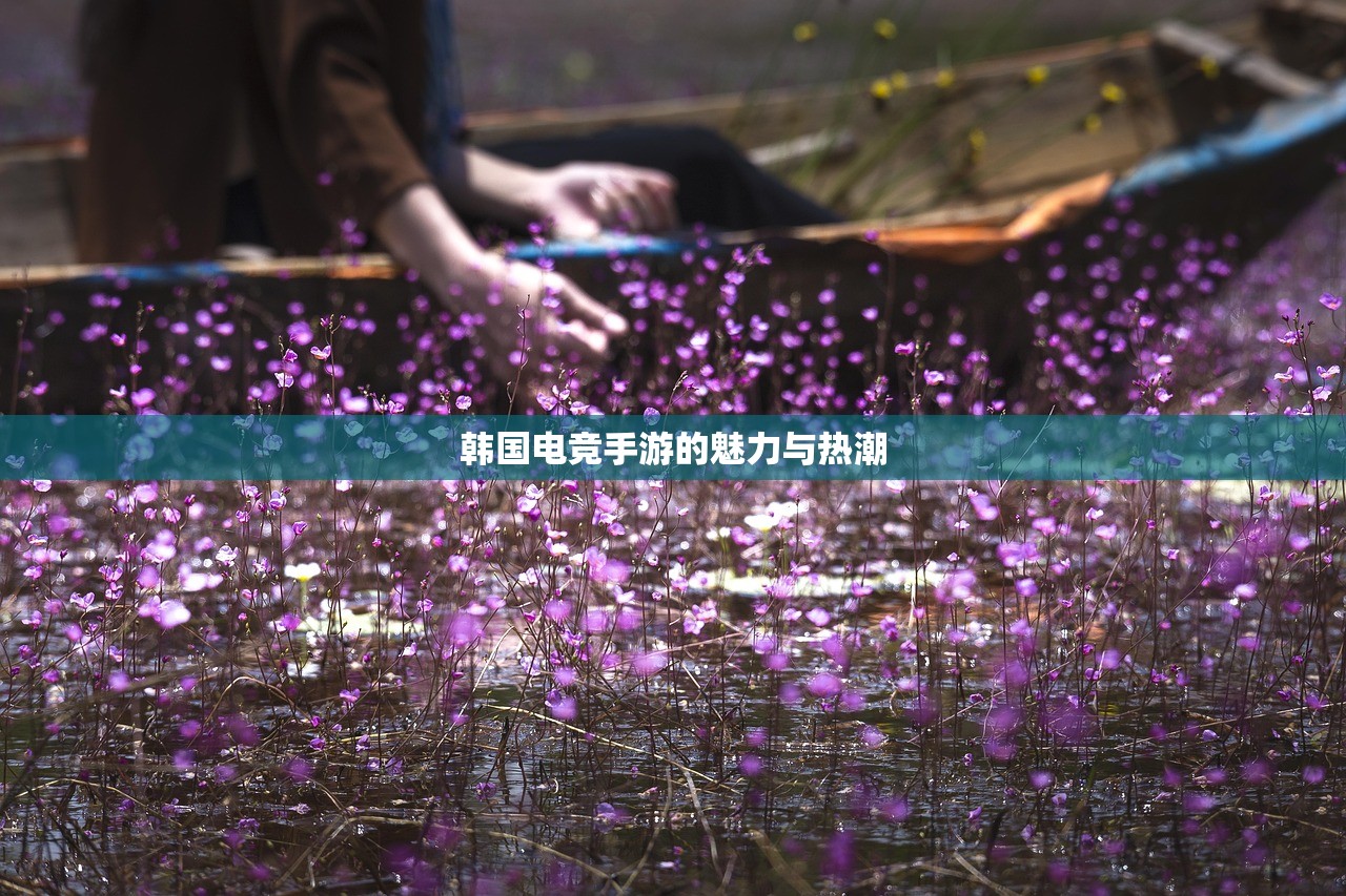 韩国电竞手游的魅力与热潮