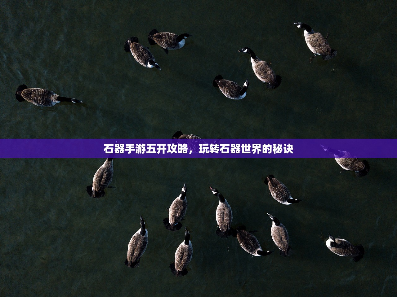 石器手游五开攻略，玩转石器世界的秘诀