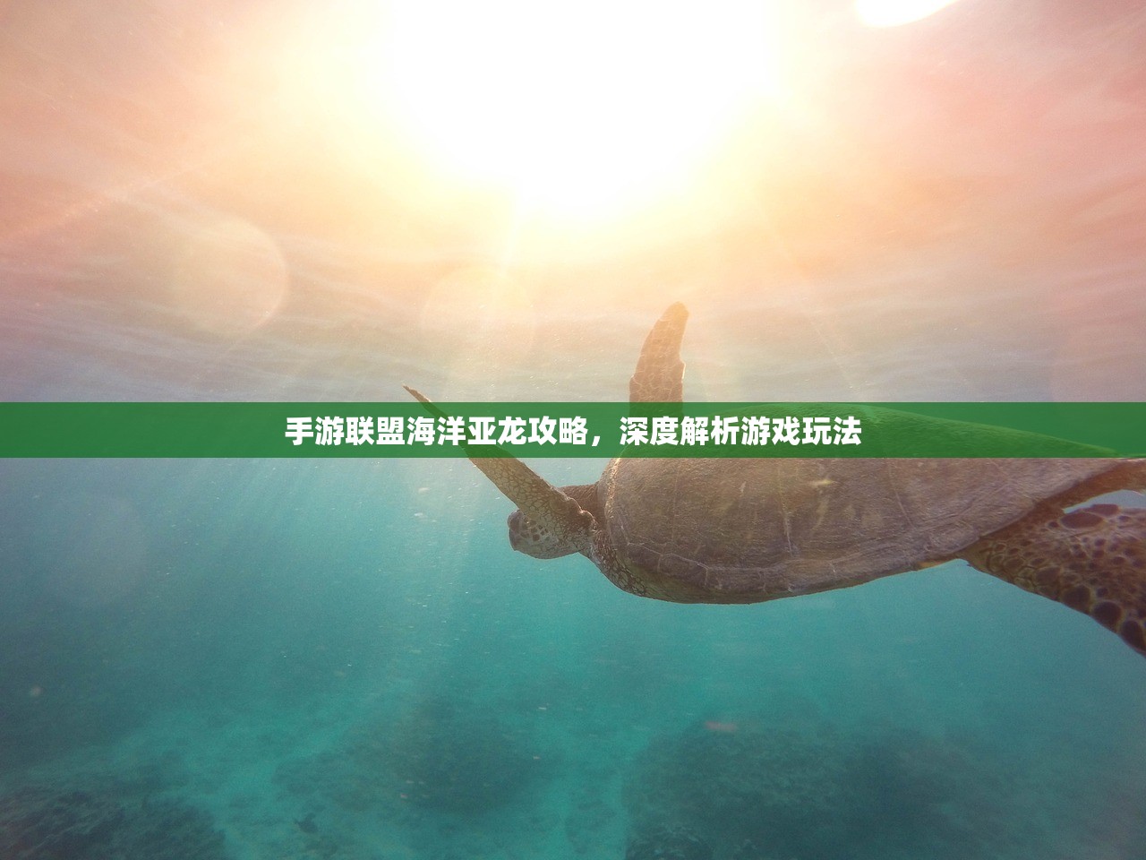 手游联盟海洋亚龙攻略，深度解析游戏玩法