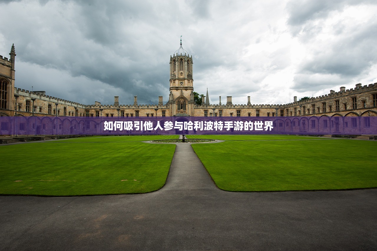 小米10玩转Apex手游，优化设置与流畅游戏体验