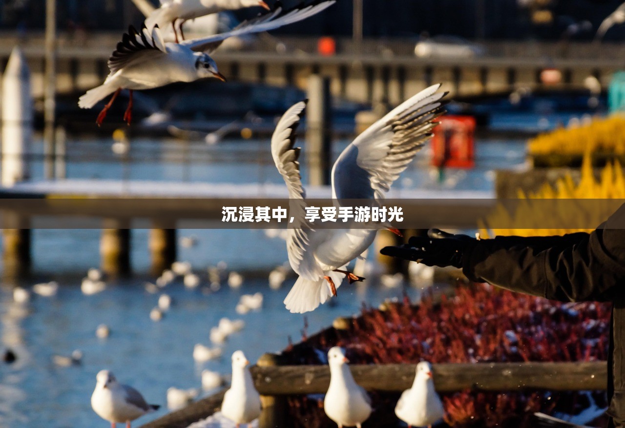 生存手游，离线体验的独特魅力