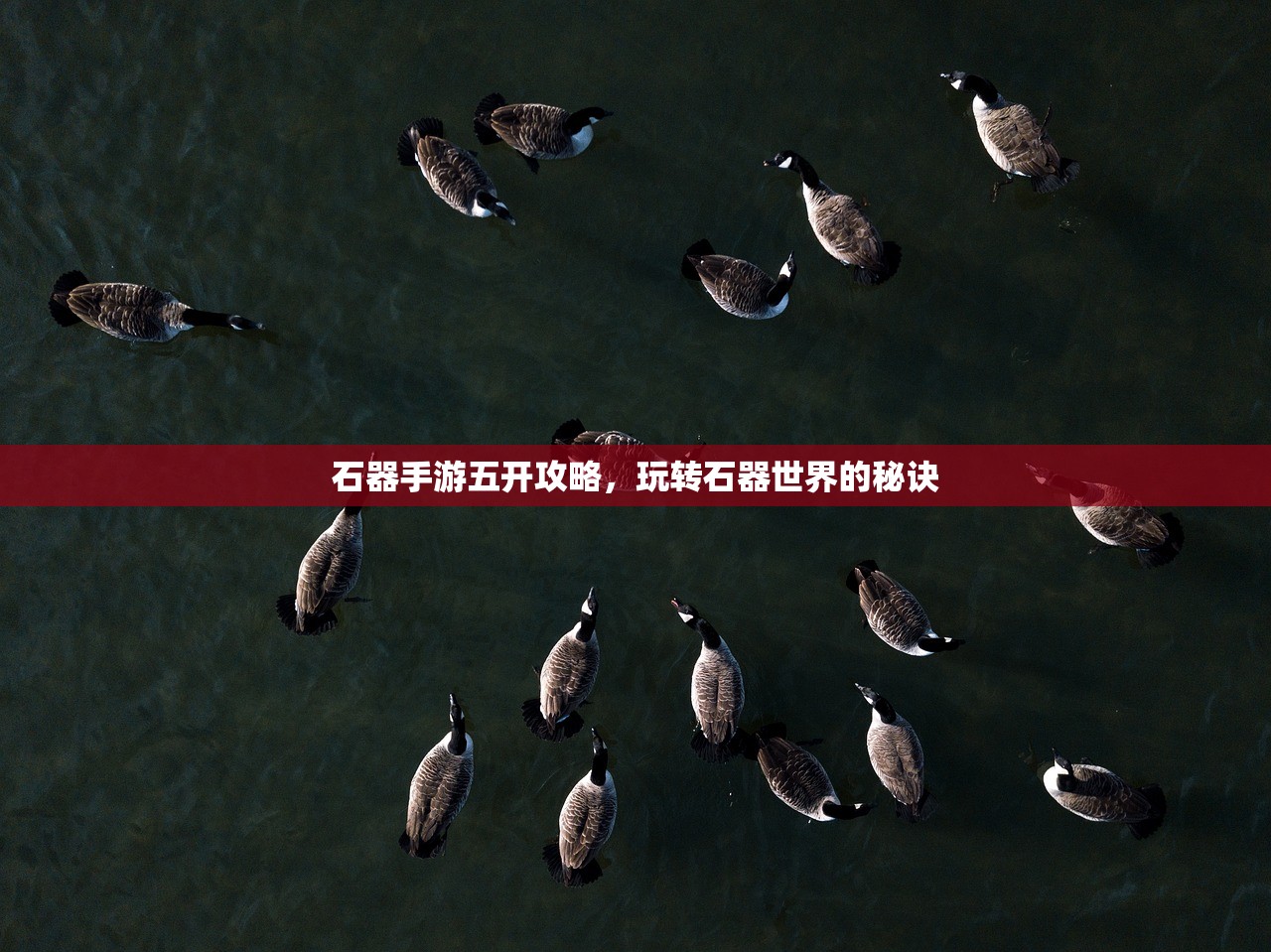 石器手游五开攻略，玩转石器世界的秘诀