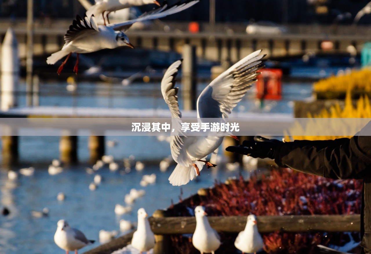 沉浸其中，享受手游时光