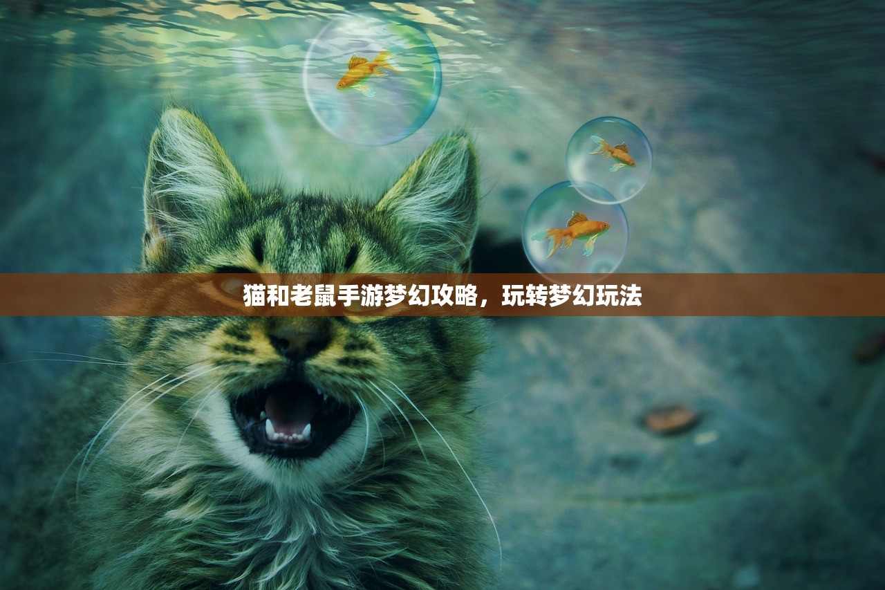 猫和老鼠手游梦幻攻略，玩转梦幻玩法