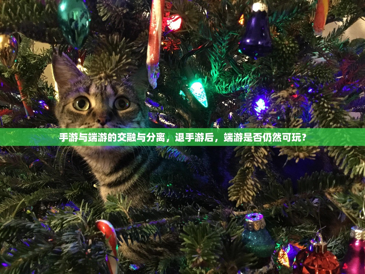 手游与端游的交融与分离，退手游后，端游是否仍然可玩？