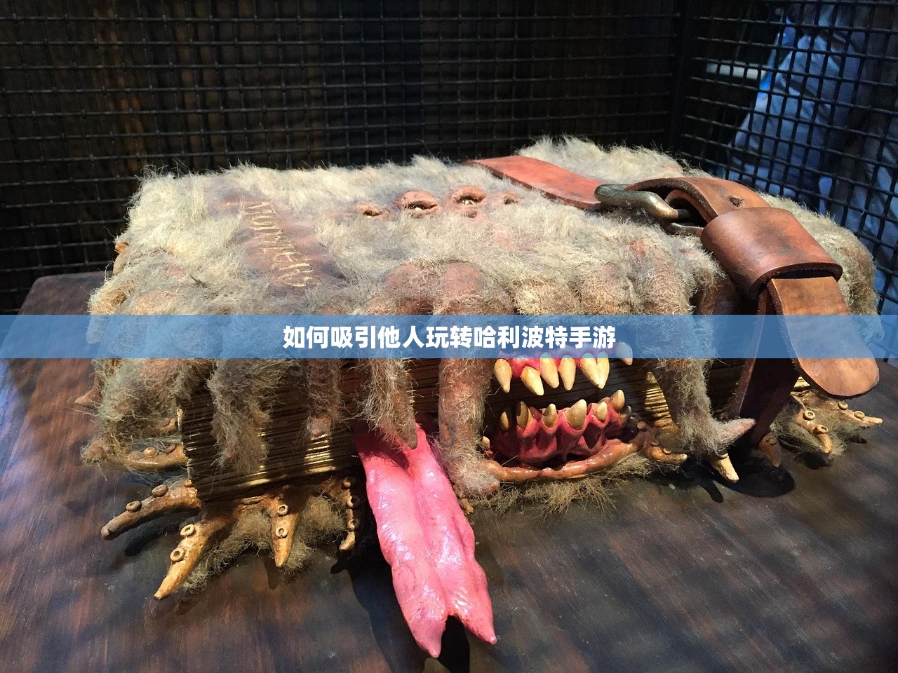 如何吸引他人玩转哈利波特手游