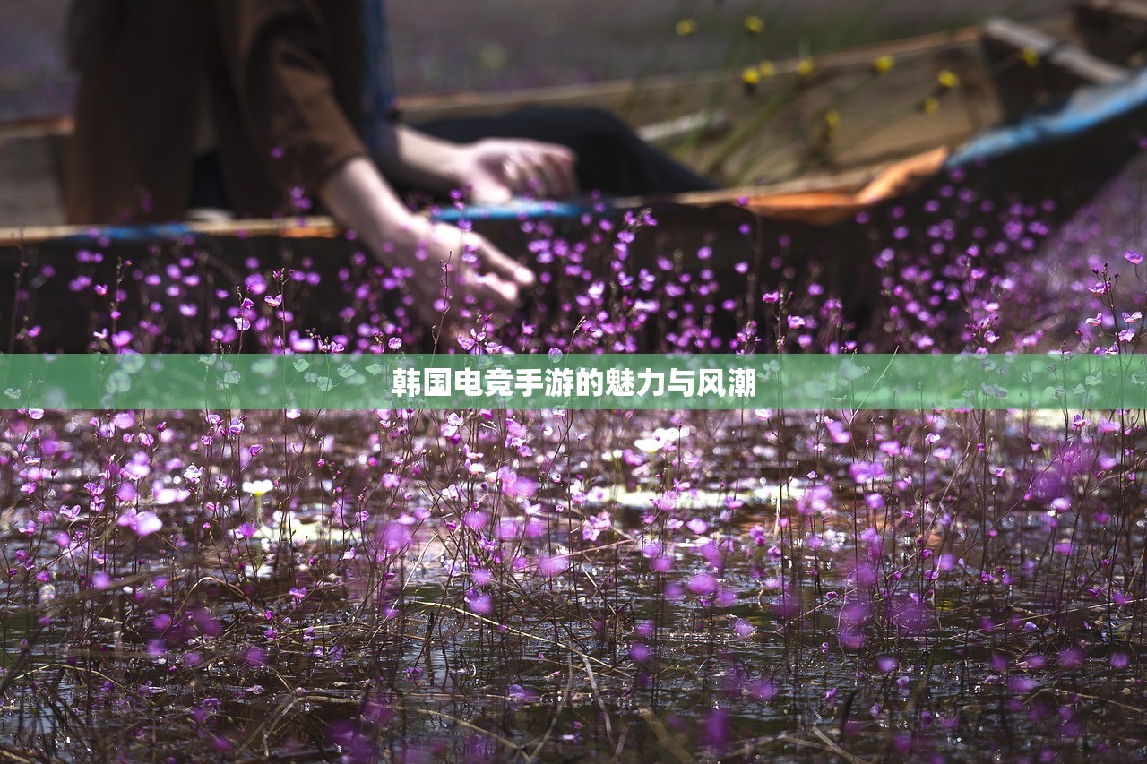 手游热潮，30万人的共同选择—探索一款热门手游的魅力