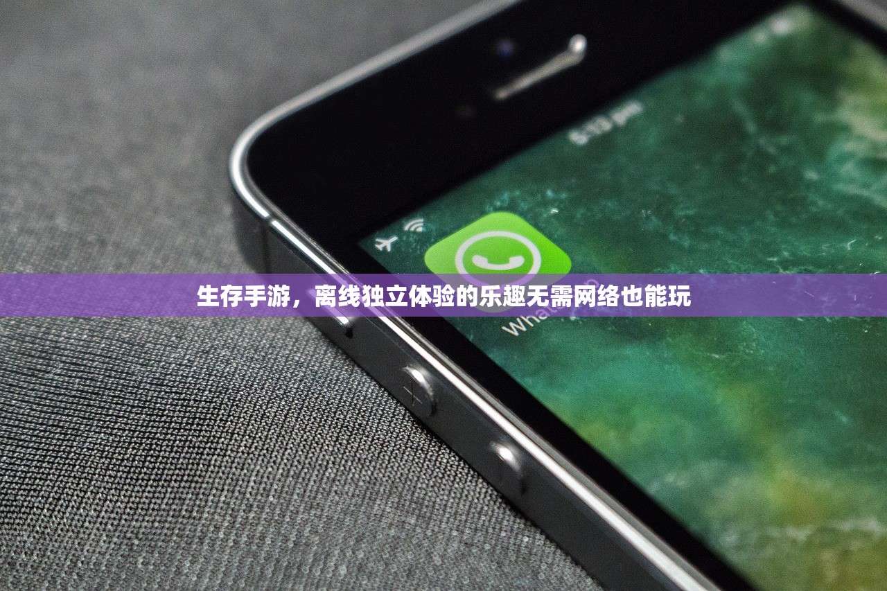 生存手游，离线独立体验的乐趣无需网络也能玩