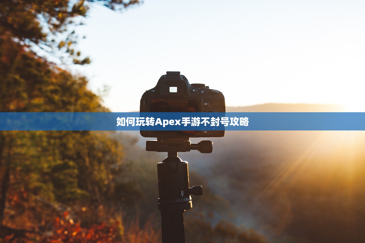 如何玩转Apex手游不封号攻略