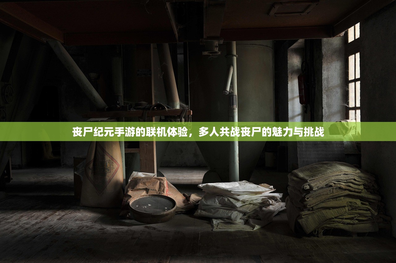 丧尸纪元手游的联机体验，多人共战丧尸的魅力与挑战