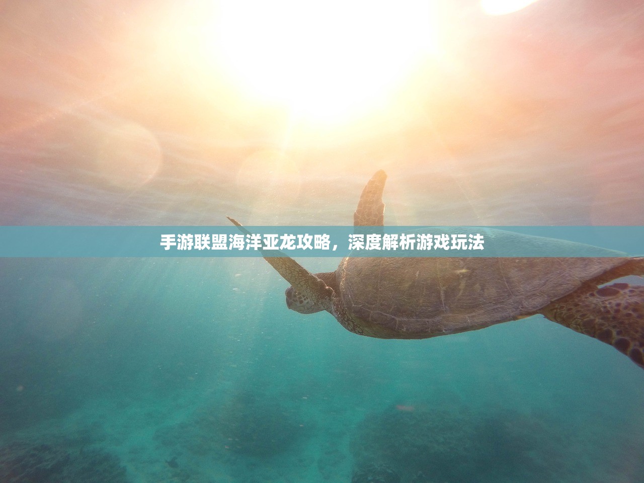 如何玩转美服手游的端游版