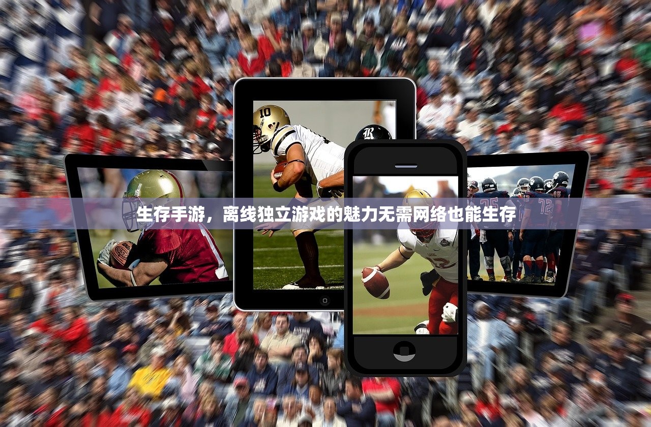 生存手游，离线独立游戏的魅力无需网络也能生存