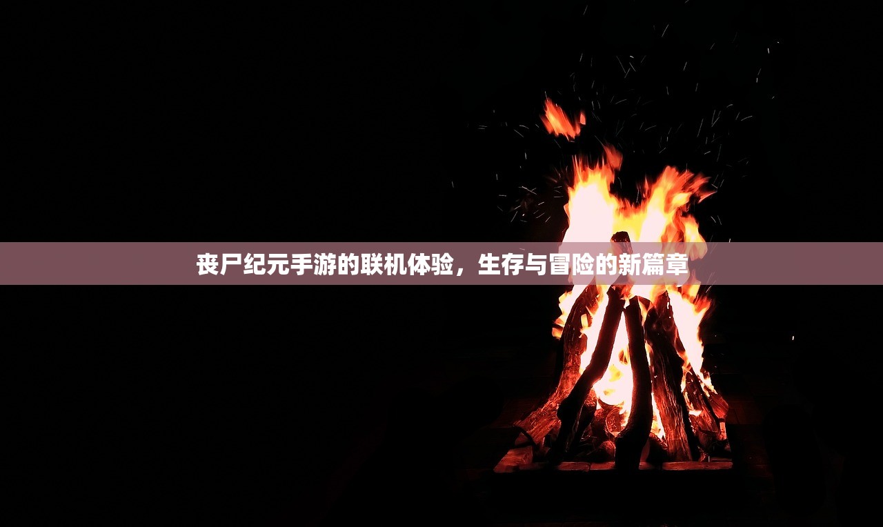 新人指南，如何玩转任天堂手游与端游