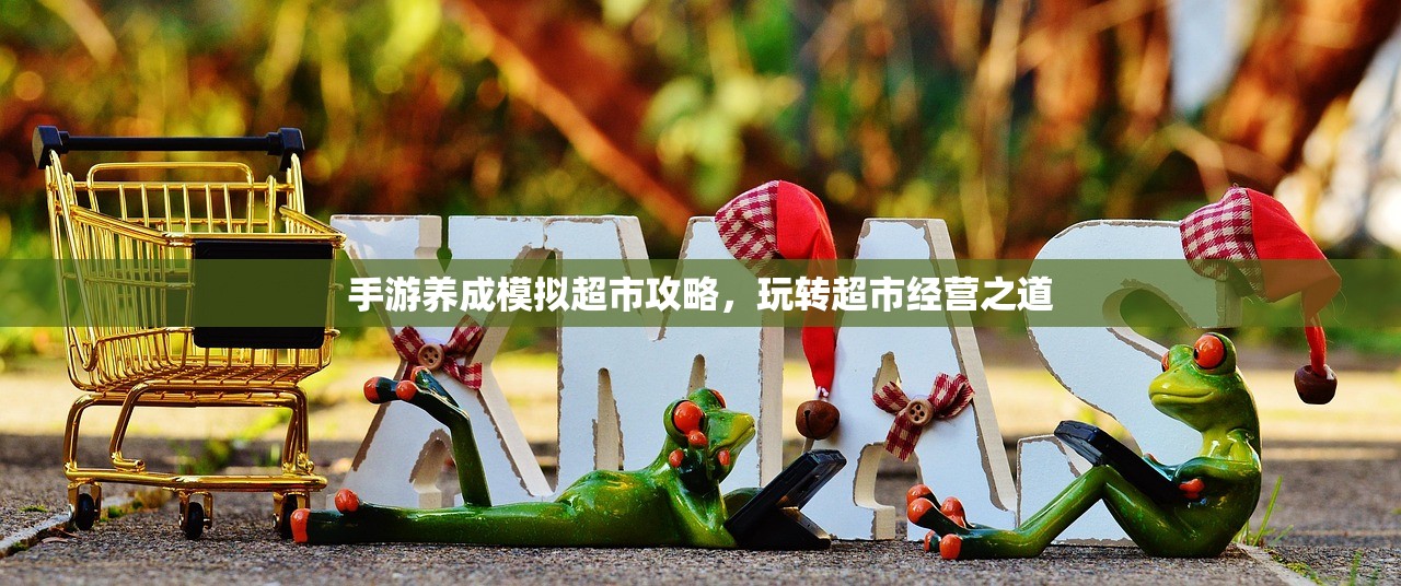 手游养成模拟超市攻略，玩转超市经营之道