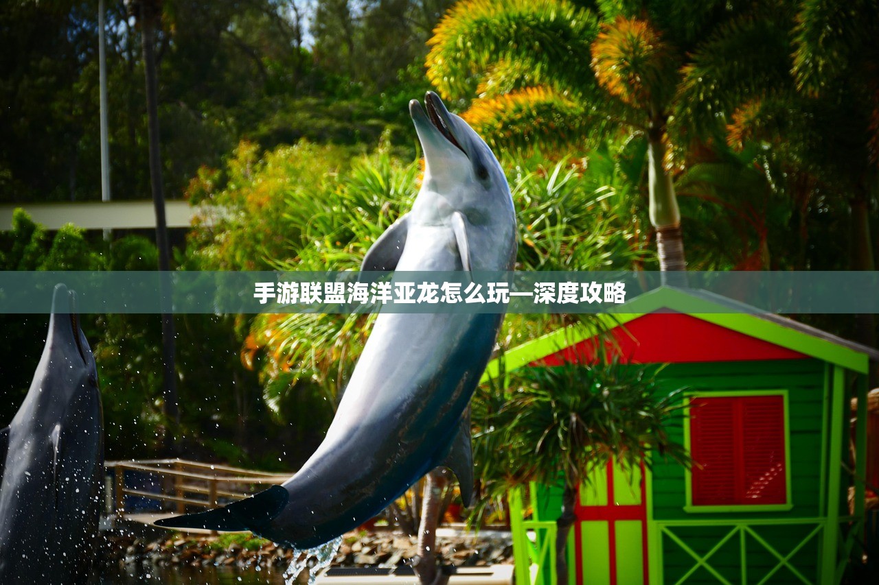 手游联盟海洋亚龙怎么玩—深度攻略