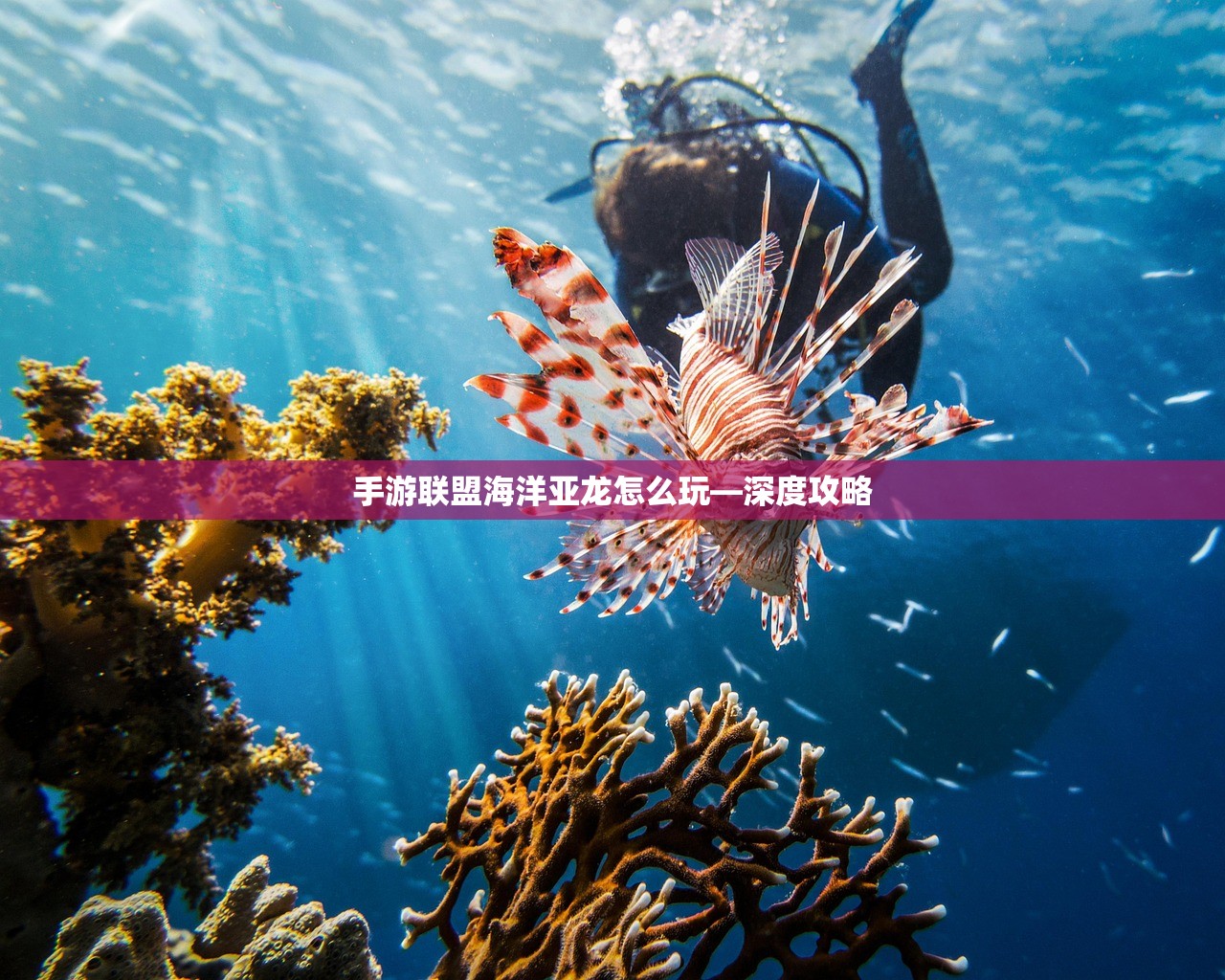 手游联盟海洋亚龙怎么玩—深度攻略
