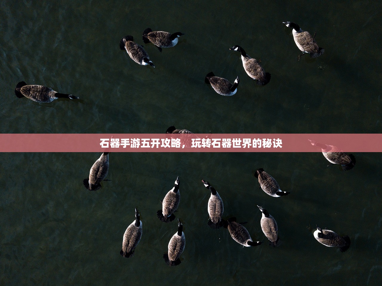 石器手游五开攻略，玩转石器世界的秘诀