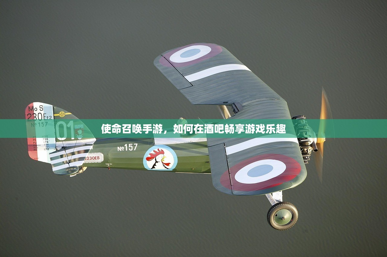 使命召唤手游，如何在酒吧畅享游戏乐趣