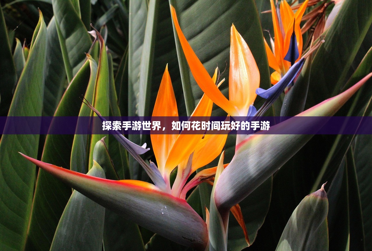 探索手游世界，如何花时间玩好的手游
